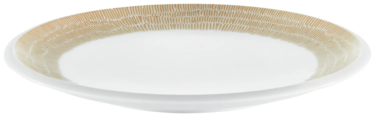 Plato coup llano SYNERGY InNature