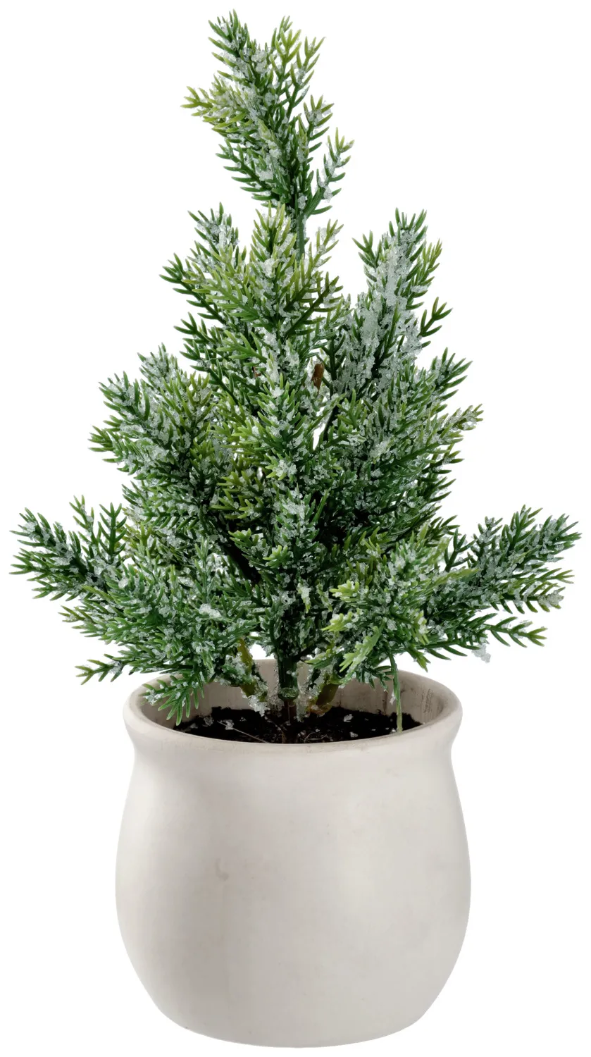 Árbol Asura