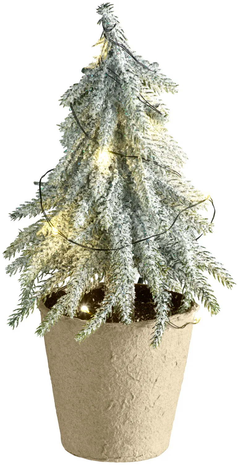 Árbol Bodana
