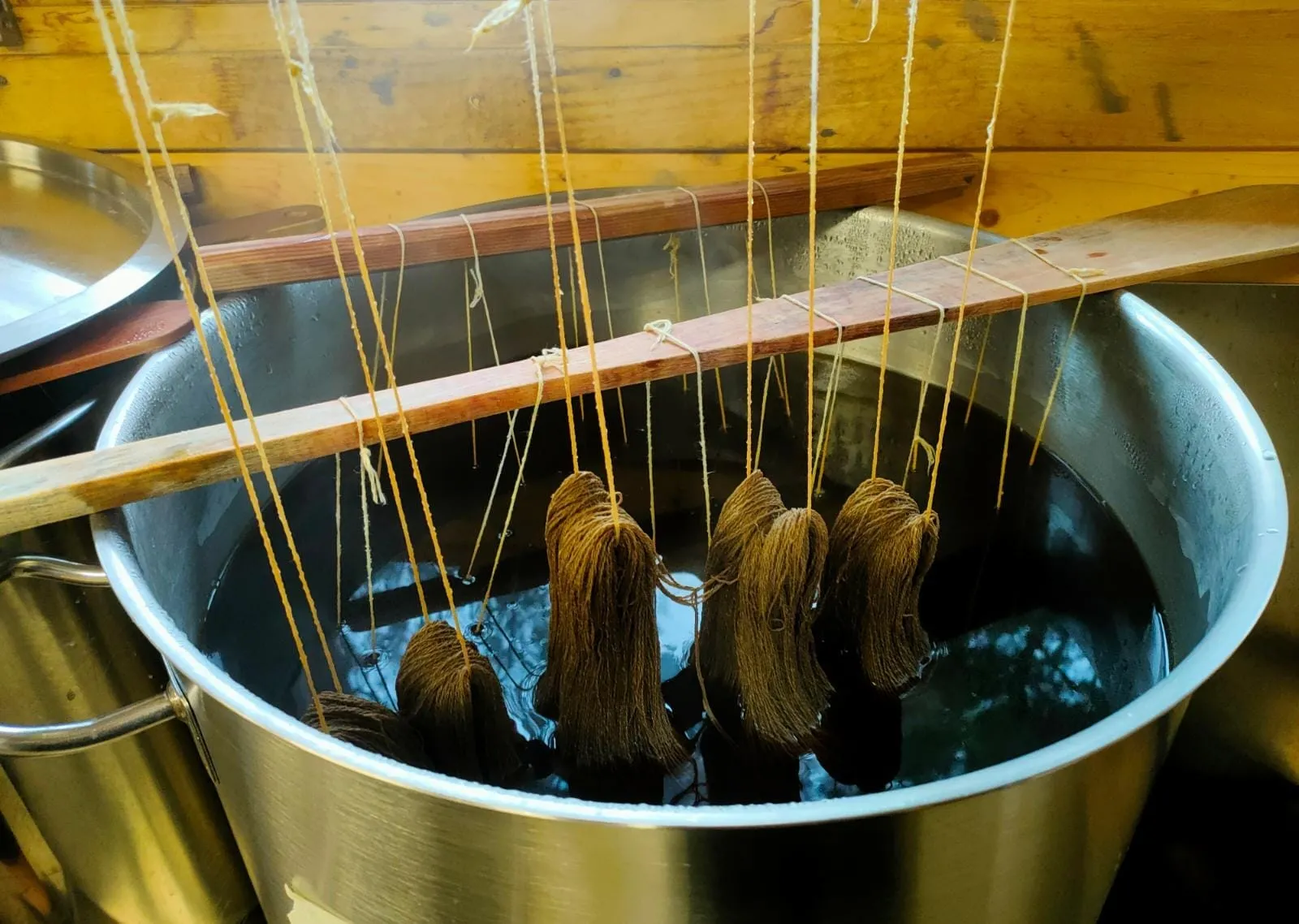 Taller "Experimenta con los tintes naturales"